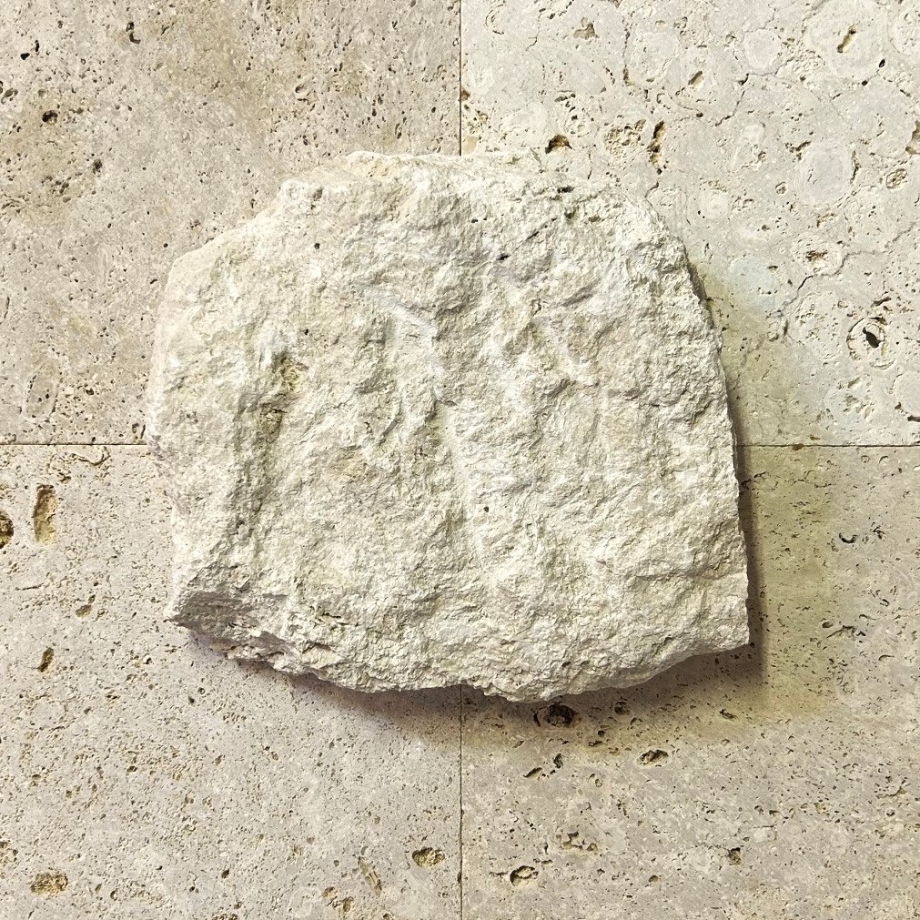 コーラルストーン